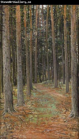 Otto Hesselbom The Forest